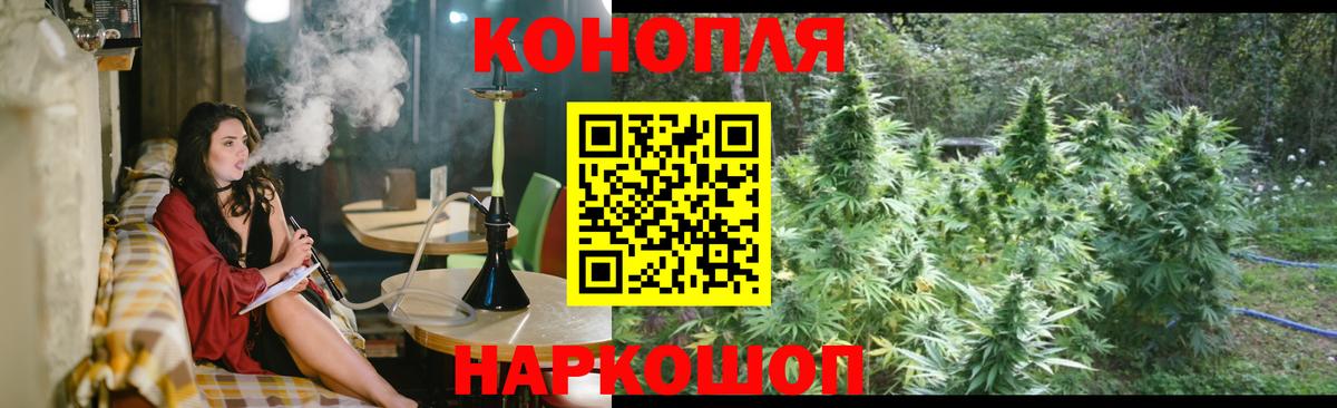 Семёнов  МАРИХУАНА сатива  Бошки Шишки SATIVA & INDICA  Вход с VPN  Канабис планчик 